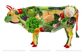 vaca vegetarianismo